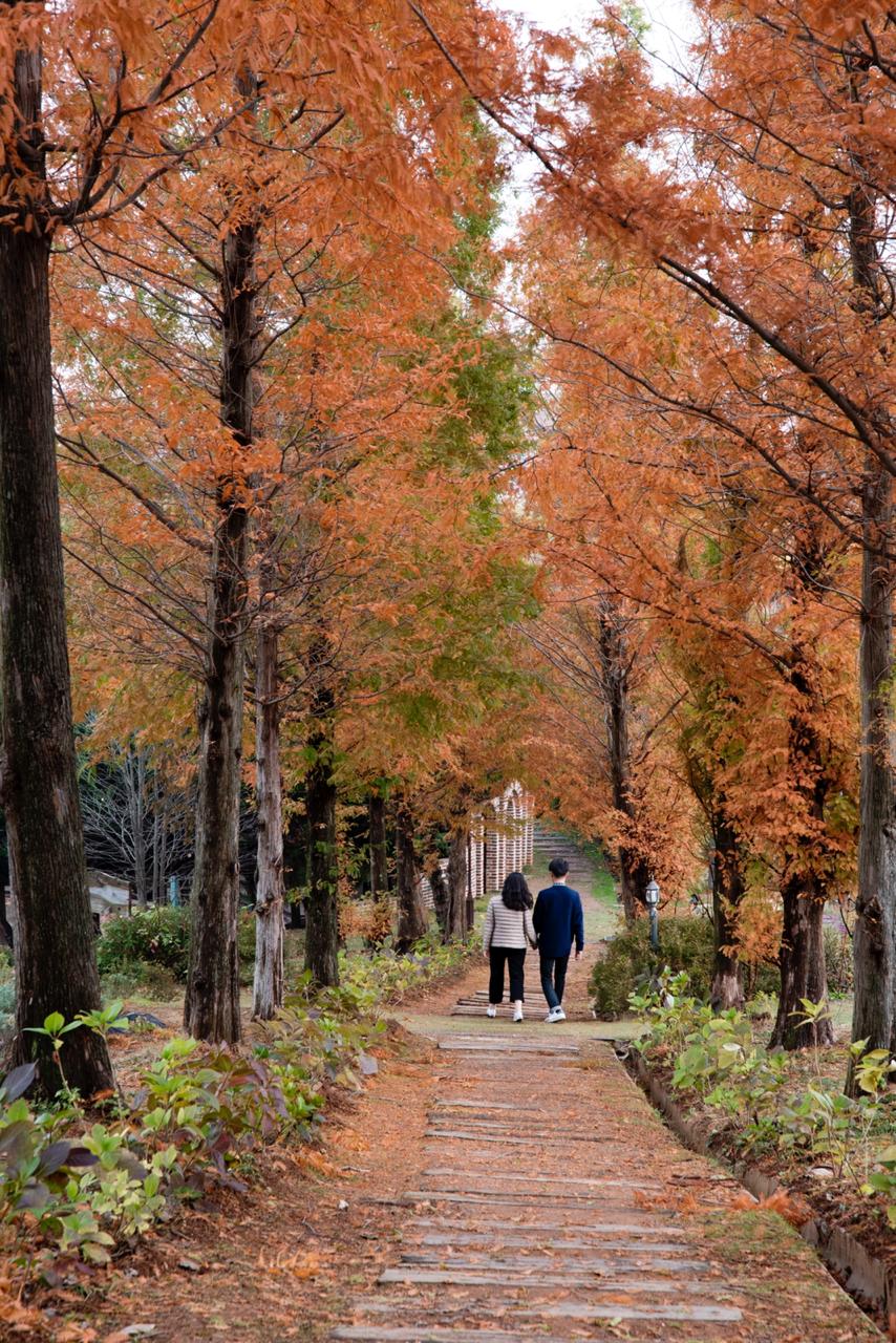 10 Destinasi wisata wellness di Korea, ada terapi minum teh