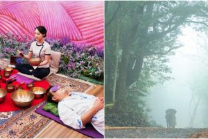10 Destinasi wisata wellness di Korea, ada terapi minum teh
