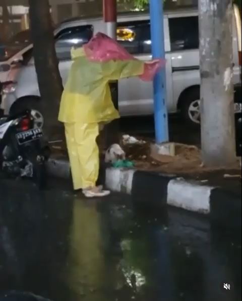 Aksi wanita lindungi kucing makan di tengah hujan deras, bikin salut