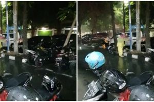 Aksi wanita lindungi kucing makan di tengah hujan deras, bikin salut