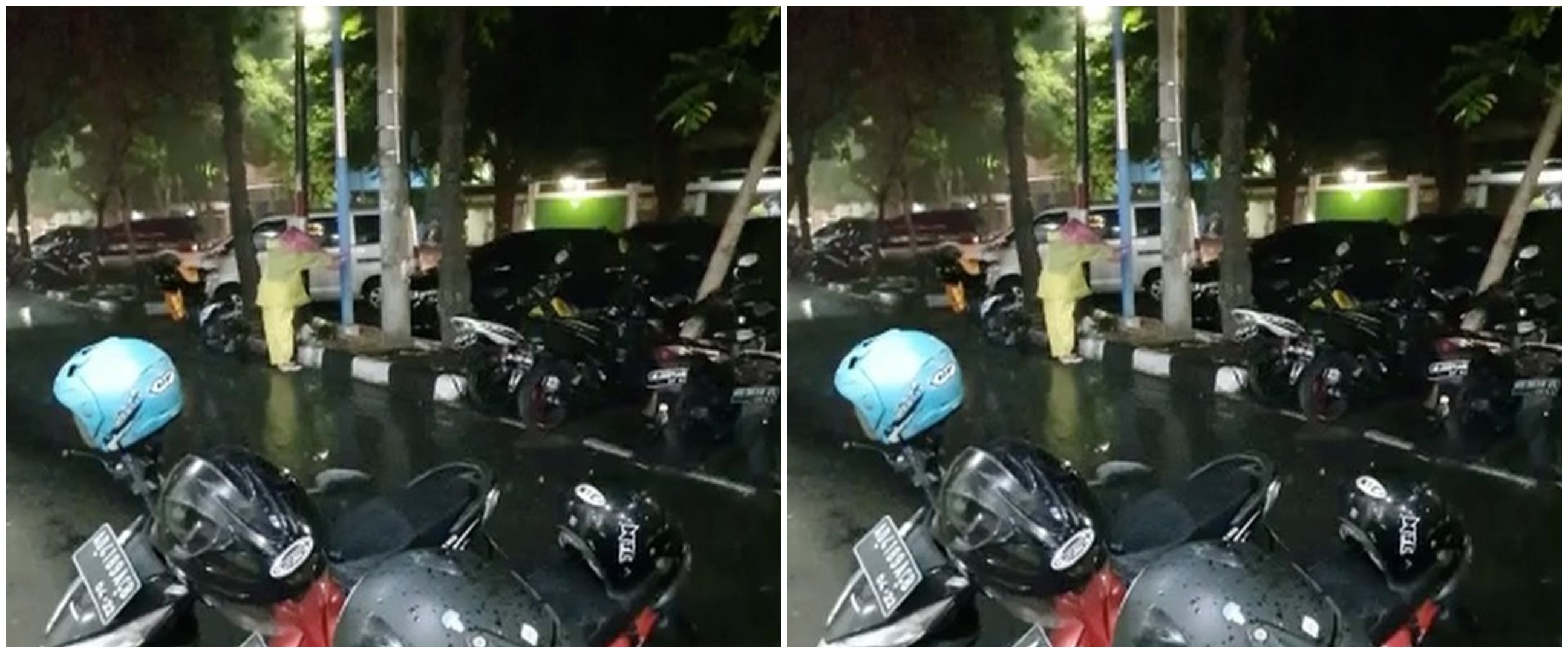 Aksi wanita lindungi kucing makan di tengah hujan deras, bikin salut