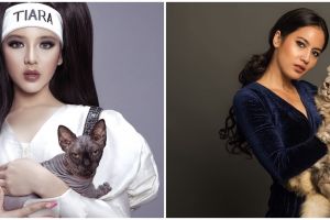 Pemotretan unik 8 seleb bareng kucing, gayanya curi perhatian