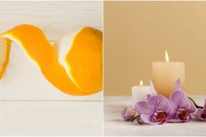 10 Cara membuat pewangi ruangan secara alami, aman untuk pernapasan
