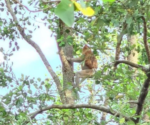 7 Momen liburan Lutfi Agizal dan Nadya Indri, kunjungi cagar budaya
