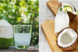 10 Manfaat air kelapa untuk kecantikan dan cara penggunaannya