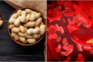 8 Manfaat kacang tanah untuk kesehatan, menurunkan kolesterol