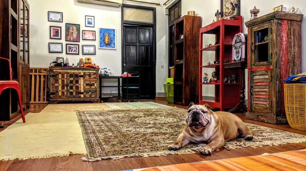 Potret apartemen 8 seleb top Bollywood, ada yang tinggal di AS