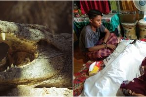 Kisah buaya mati dikafani, diyakini warga sebagai kembaran manusia