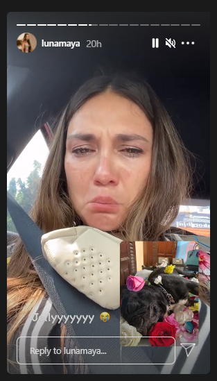 Anjing kesayangan mati, reaksi Luna Maya bikin publik sedih