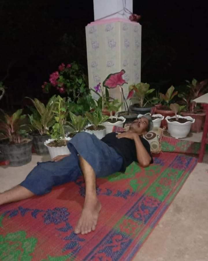 8 Tingkah lucu ketika orang sudah telanjur cinta tanaman hias, kocak