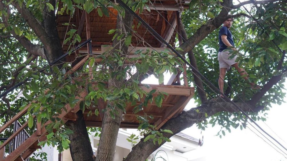 7 Potret rumah pohon Cakra Khan, terinspirasi dari film Heart