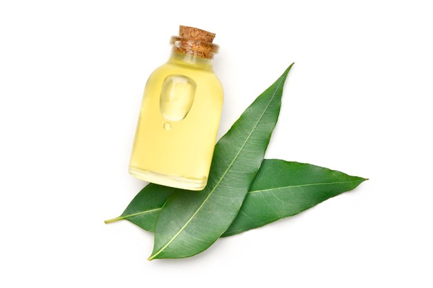 8 Makanan ini bantu redakan sesak napas, alami dan mudah ditemukan