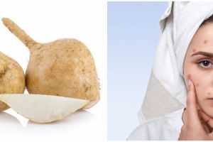 10 Manfaat bengkoang untuk kecantikan dan cara pakainya