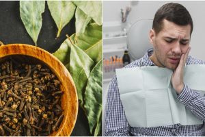 9 Manfaat cengkeh untuk kesehatan, bisa mengurangi nyeri gigi