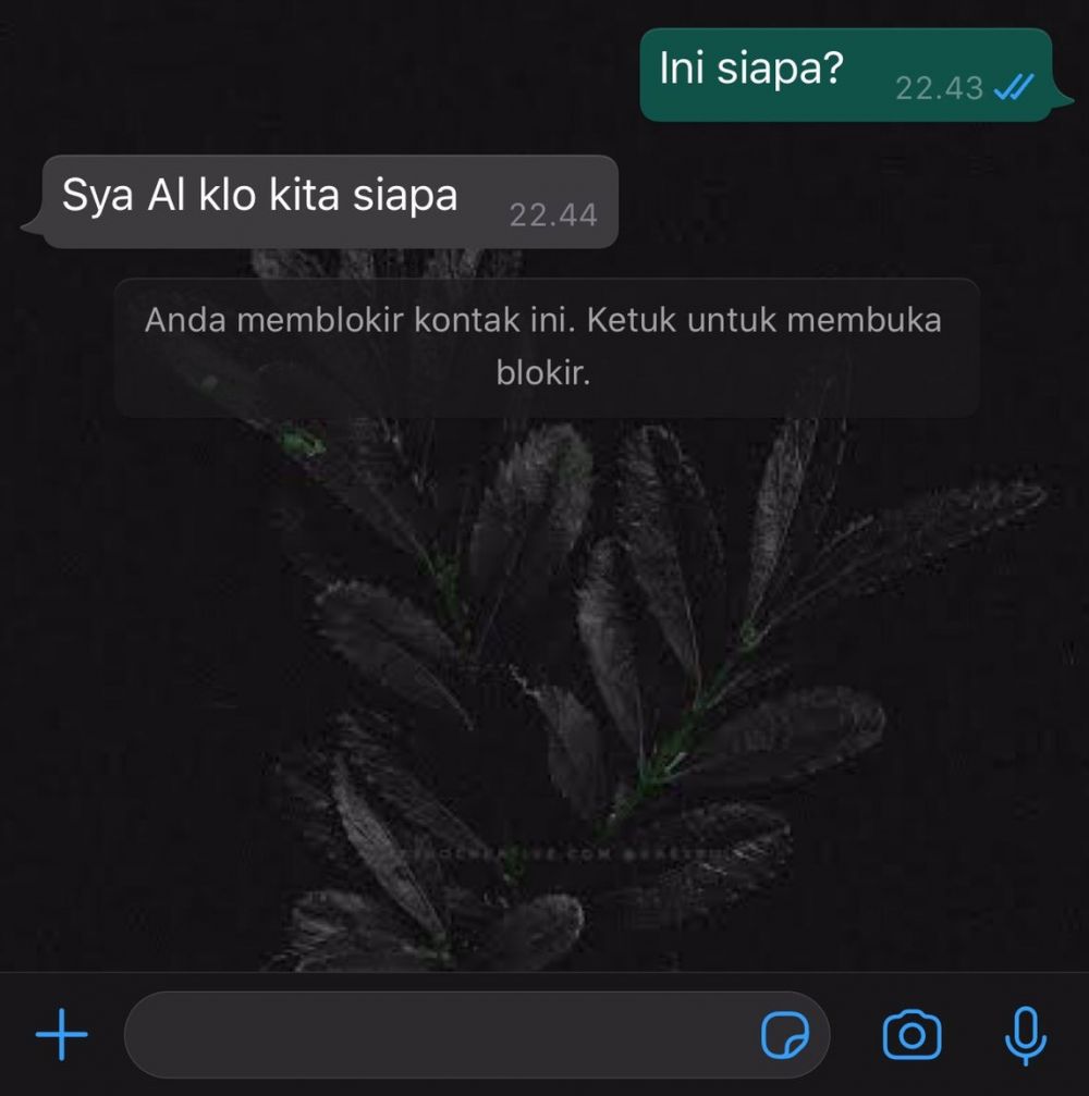 10 Balasan chat orang ngajak kenalan, lucunya nggak jelas banget