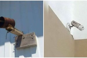 10 Potret absurd CCTV di tempat umum ini bikin yang lihat melongo