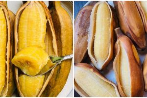 10 Manfaat pisang kepok rebus untuk kesehatan, mengatasi maag