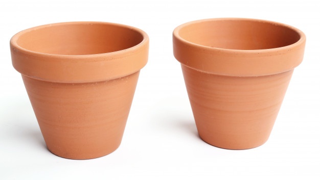 7 Cara menanam jahe di rumah, mudah dan bisa menggunakan pot