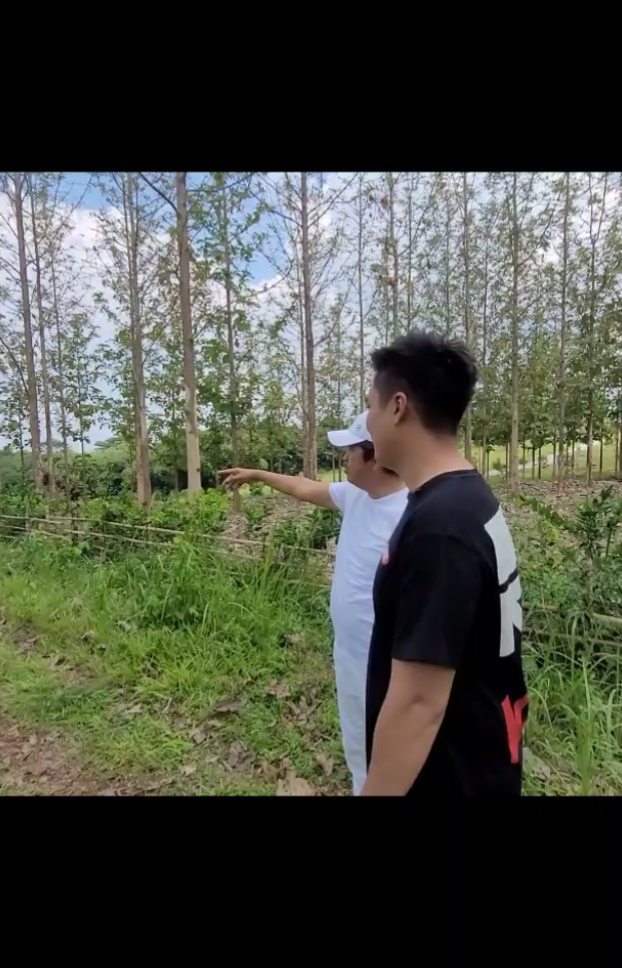 Ini penampakan tanah wakaf Baim Wong untuk pesantren, seluas 6 hektar