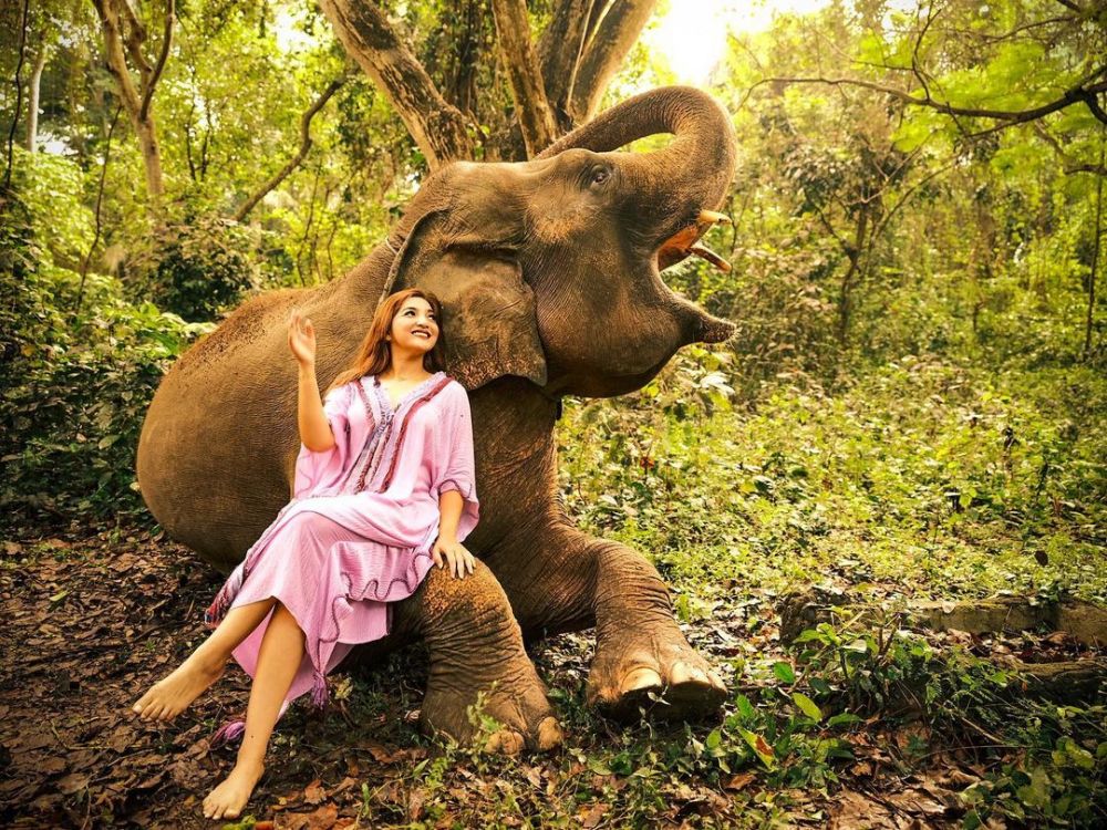 10 Gaya pemotretan Ashanty dengan gajah, hasilnya keren abis