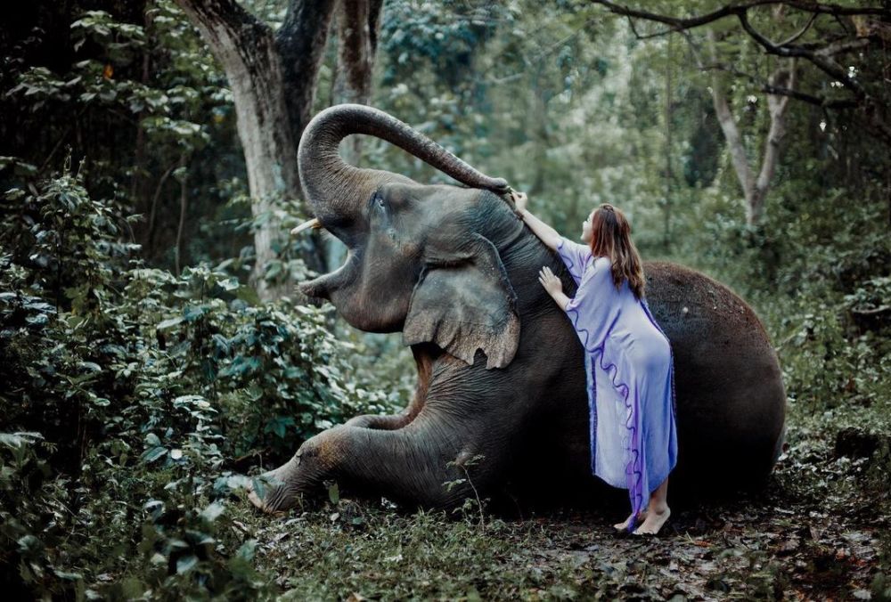 10 Gaya pemotretan Ashanty dengan gajah, hasilnya keren abis
