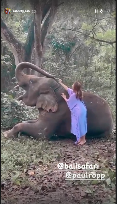 10 Gaya pemotretan Ashanty dengan gajah, hasilnya keren abis