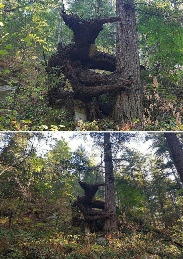 10 Potret penampakan alam ini menipu mata, ada yang mirip manusia