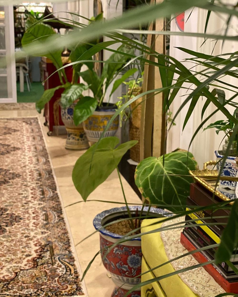 10 Potret koleksi tanaman hias Yuni Shara, asri dan rapi