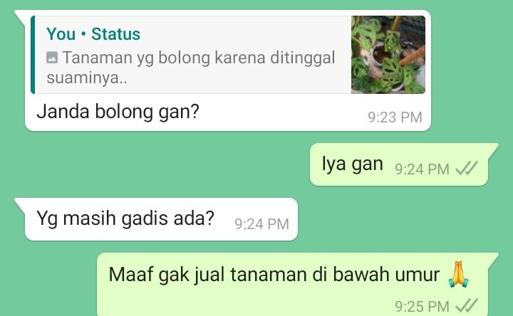 15 Balasan chat dari penjual online shop ini endingnya kocak