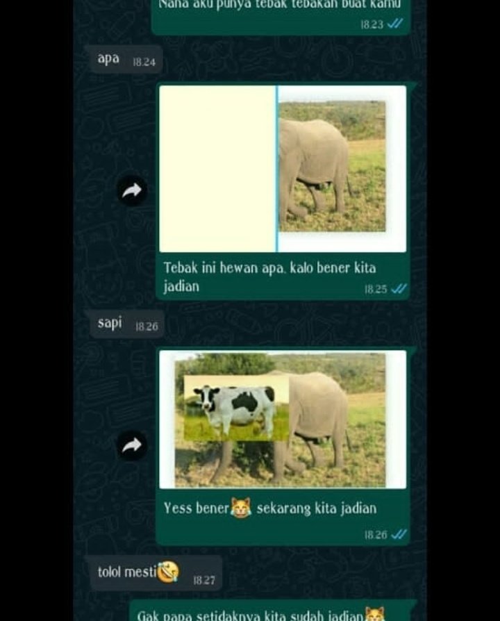 10 Chat lucu cara cowok nembak gebetan ini nggak romantis sama sekali