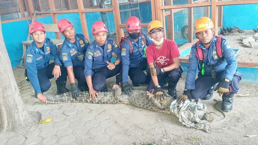 Viral seekor buaya berkeliaran di parkiran mal, pengunjung panik