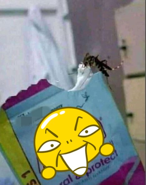  10 Momen lucu nyamuk asal nemplok ini bikin senyum sekaligus heran