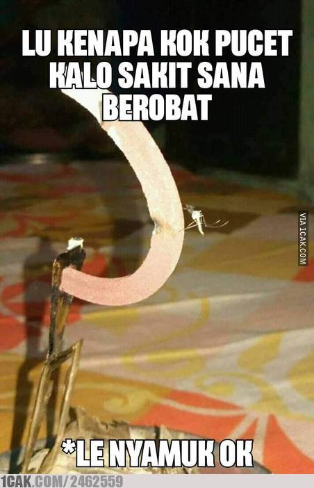  10 Momen lucu nyamuk asal nemplok ini bikin senyum sekaligus heran