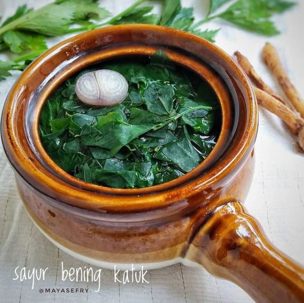 21 Resep sayur kuah tanpa santan, sederhana, enak, dan antibosan