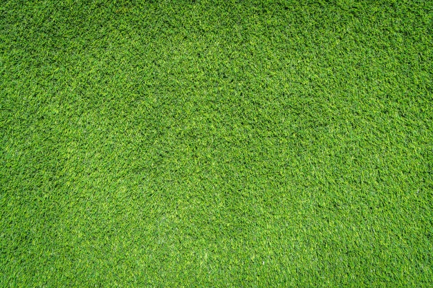 10 Jenis rumput  yang cocok untuk menghias taman bikin 