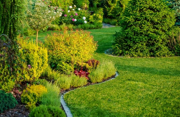 10 Jenis rumput yang cocok untuk menghias taman, bikin rumah jadi asri