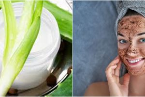 Cara membuat masker dari kopi dan lidah buaya, aman dan mudah dibuat