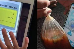 10 Aplikasi HP paling kocak, kegunaannya bikin geleng-geleng kepala