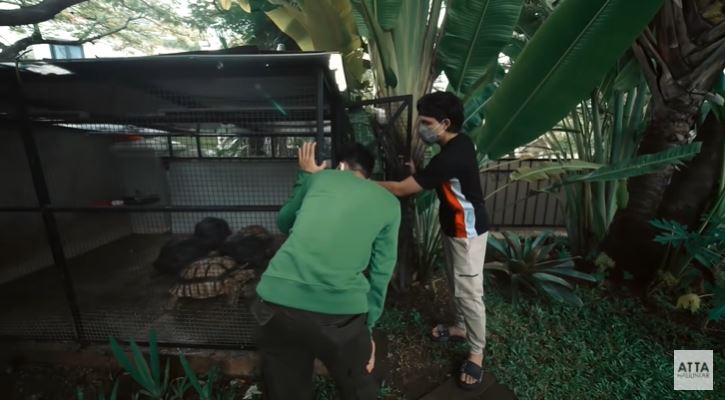 10 Potret rumah baru Atta Halilintar, koleksi sepatunya bikin melongo
