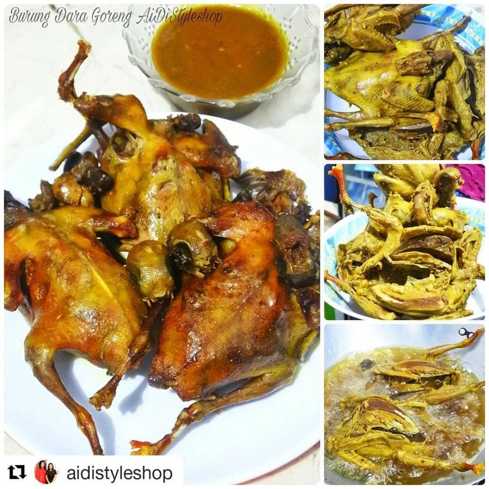 Resep olahan burung dara ala rumahan Instagram Resep olahan burung dara ala rumahan Instagram