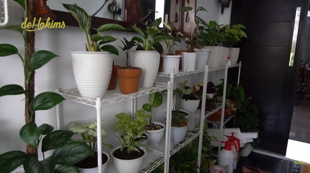 10 Potret kebun dalam rumah Soimah, asri dan rapi