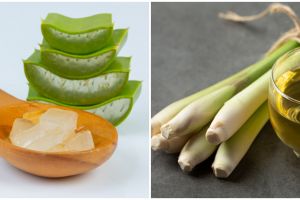 9 Bumbu dapur pembasmi jamur pada tubuh, praktis dan ekonomis