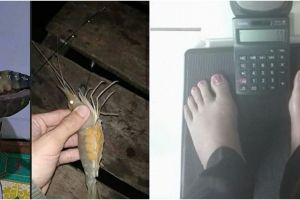 10 Momen absurd pakai timbangan ini bikin gagal paham