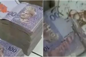 Viral kisah nenek harus rela uangnya Rp 1 miliar dimakan rayap