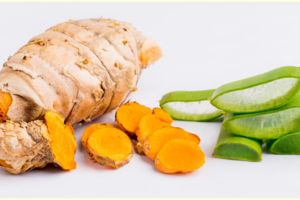 Cara membuat masker dari lidah buaya dan kunyit, mudah dan cepat