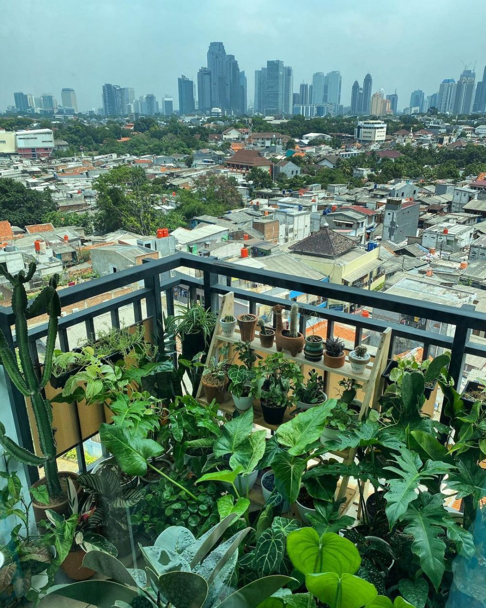 8 Penampakan kebun rooftop Meira Anastasia, indah dan asri