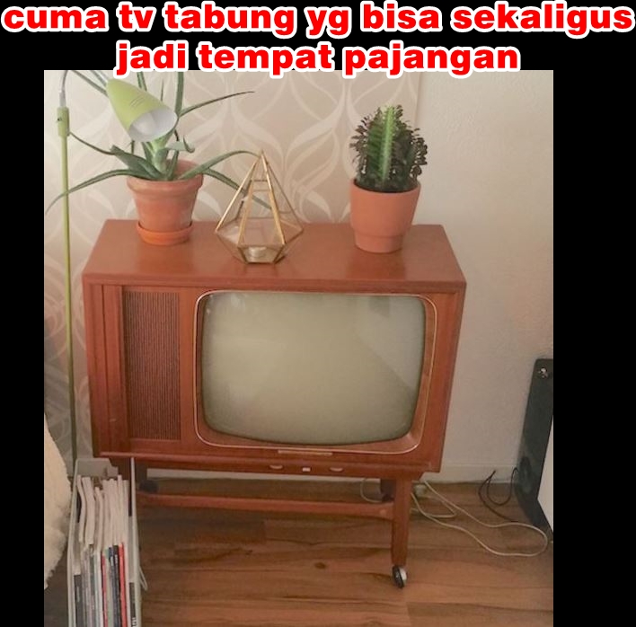 10 Meme aksi yang hanya bisa dilakukan di TV tabung, bikin nyengir
