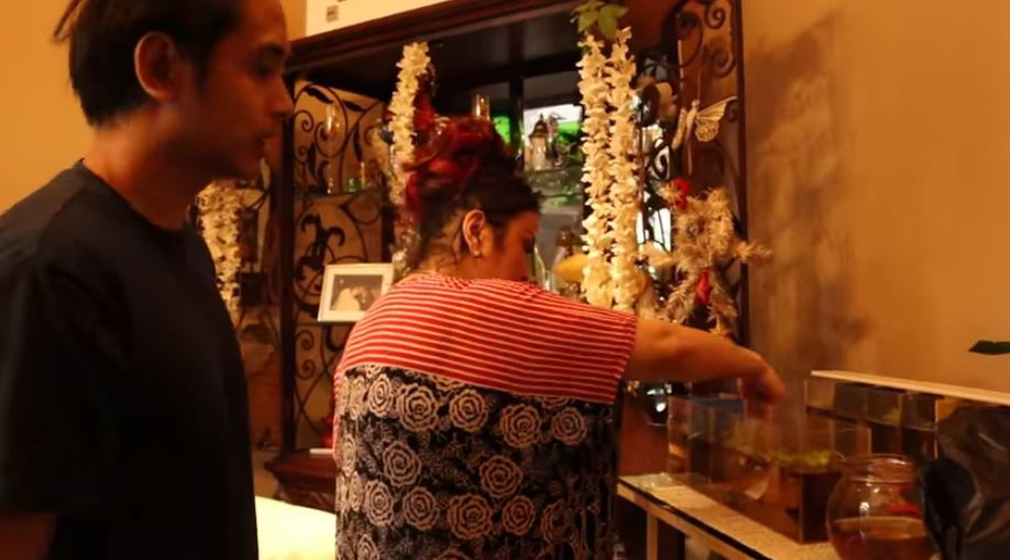 7 Seleb ini pelihara ikan cupang, Jennifer Jill punya 40 ekor lebih