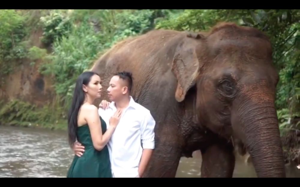8 Momen prewedding Vicky Prasetyo dan Kalina, foto bareng gajah