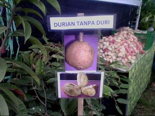 10 Momen zonk saat kupas buah, mau ketawa tapi kasihan